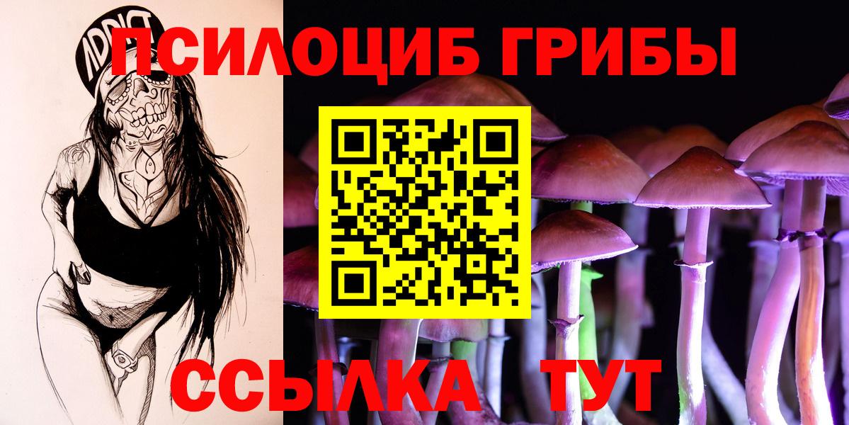 Галлюциногенные грибы Psilocybine cubensis Вичуга